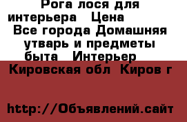 Рога лося для интерьера › Цена ­ 3 300 - Все города Домашняя утварь и предметы быта » Интерьер   . Кировская обл.,Киров г.